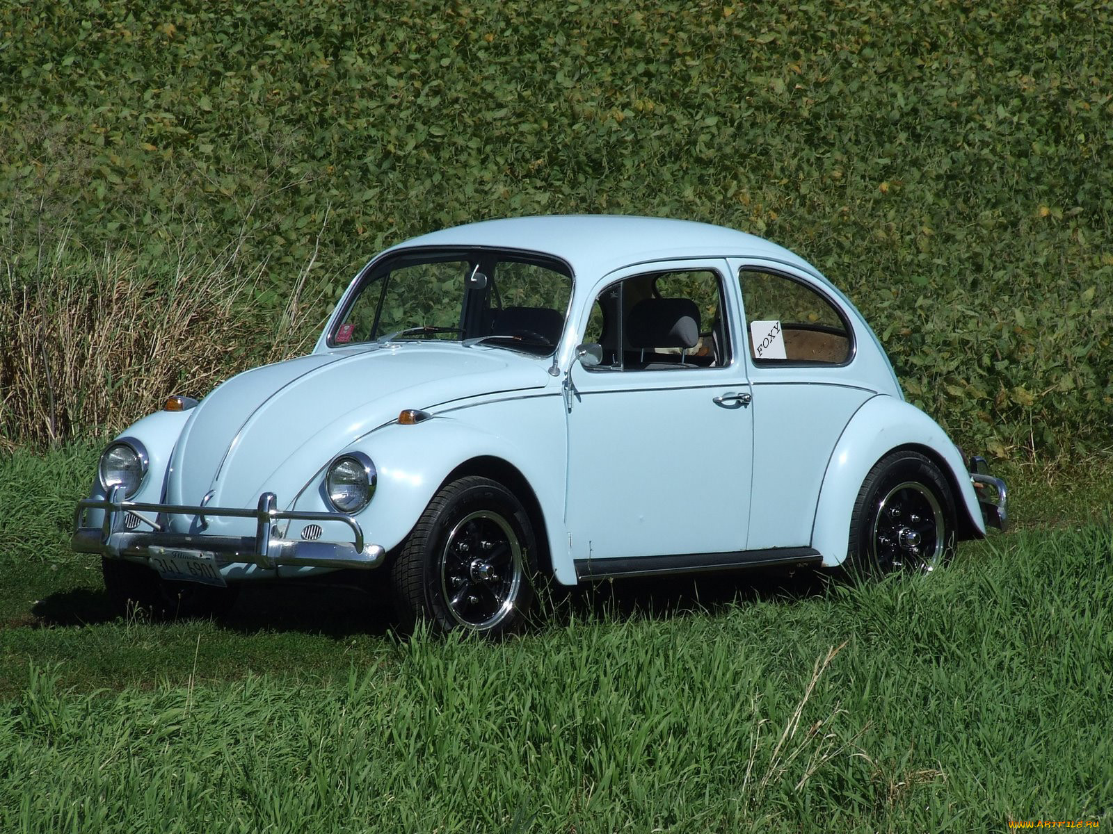 , volkswagen